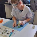 SPMiS higienistka stomatologiczna przygotowanie do egzaminu zawodowego