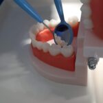 zawód higienistka stomatologiczna Wałcz 11