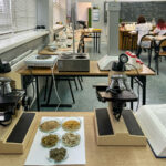 Pracownia technologii i analizy leków w Koszalinie