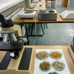 Pracownia technologii i analizy leków w Koszalinie