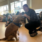 Szkolenie z dogoterapii dla terapeutów zajęciowych