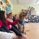 Szkolenie z dogoterapii dla terapeutów zajęciowych