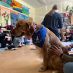 Szkolenie z dogoterapii dla terapeutów zajęciowych