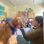 Szkolenie z dogoterapii dla terapeutów zajęciowych