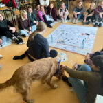 Szkolenie z dogoterapii dla terapeutów zajęciowych