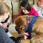 Szkolenie z dogoterapii dla terapeutów zajęciowych