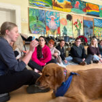 Szkolenie z dogoterapii dla terapeutów zajęciowych