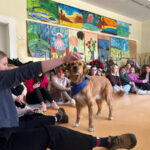 Szkolenie z dogoterapii dla terapeutów zajęciowych