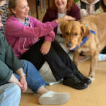 Szkolenie z dogoterapii dla terapeutów zajęciowych