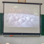 Warsztaty z higieny jamy ustnej